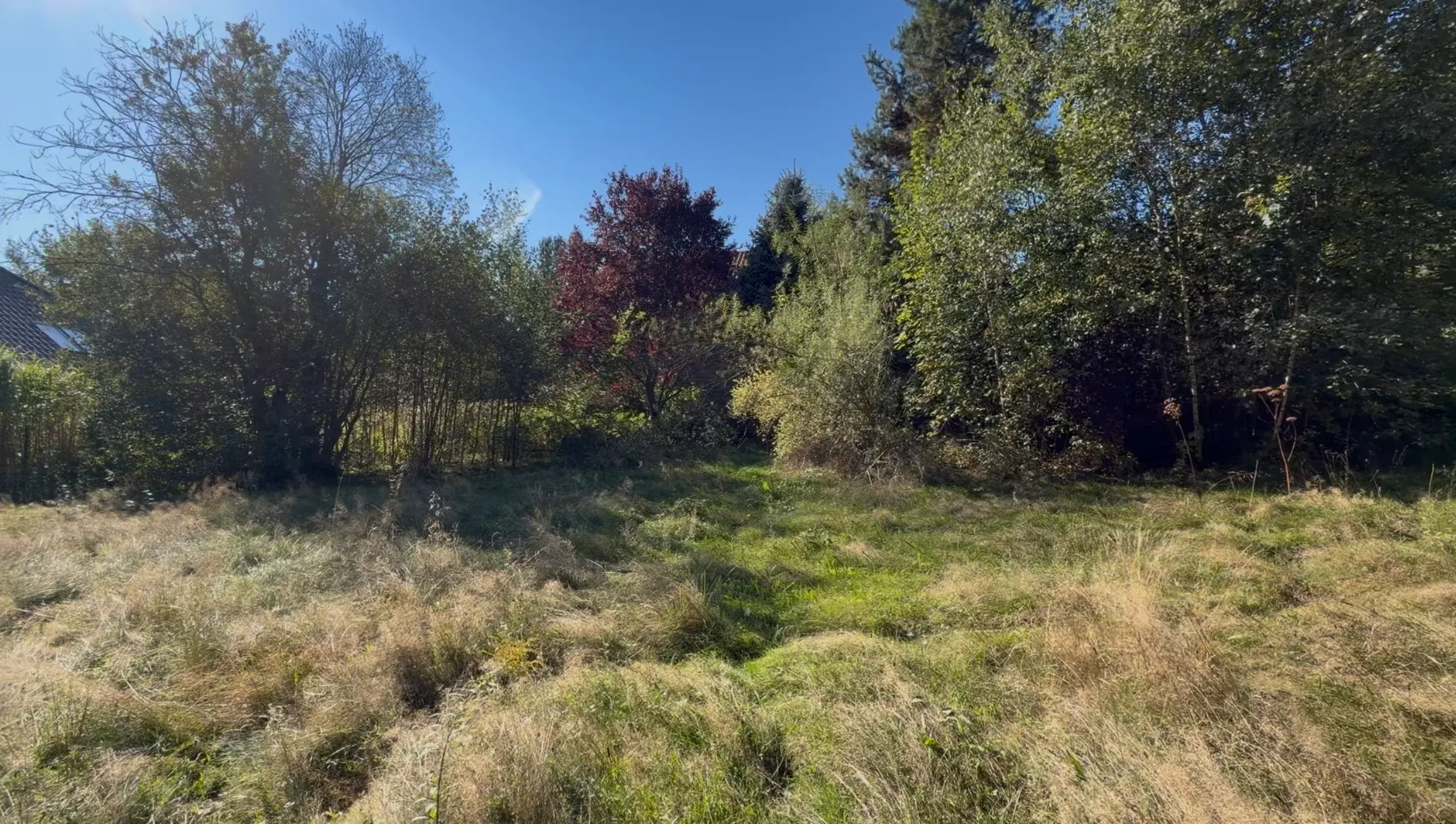 Działka, 2000 m², Raciborsko – zdjęcie 3 - Działka, 2000 m², Raciborsko (3 z 11)