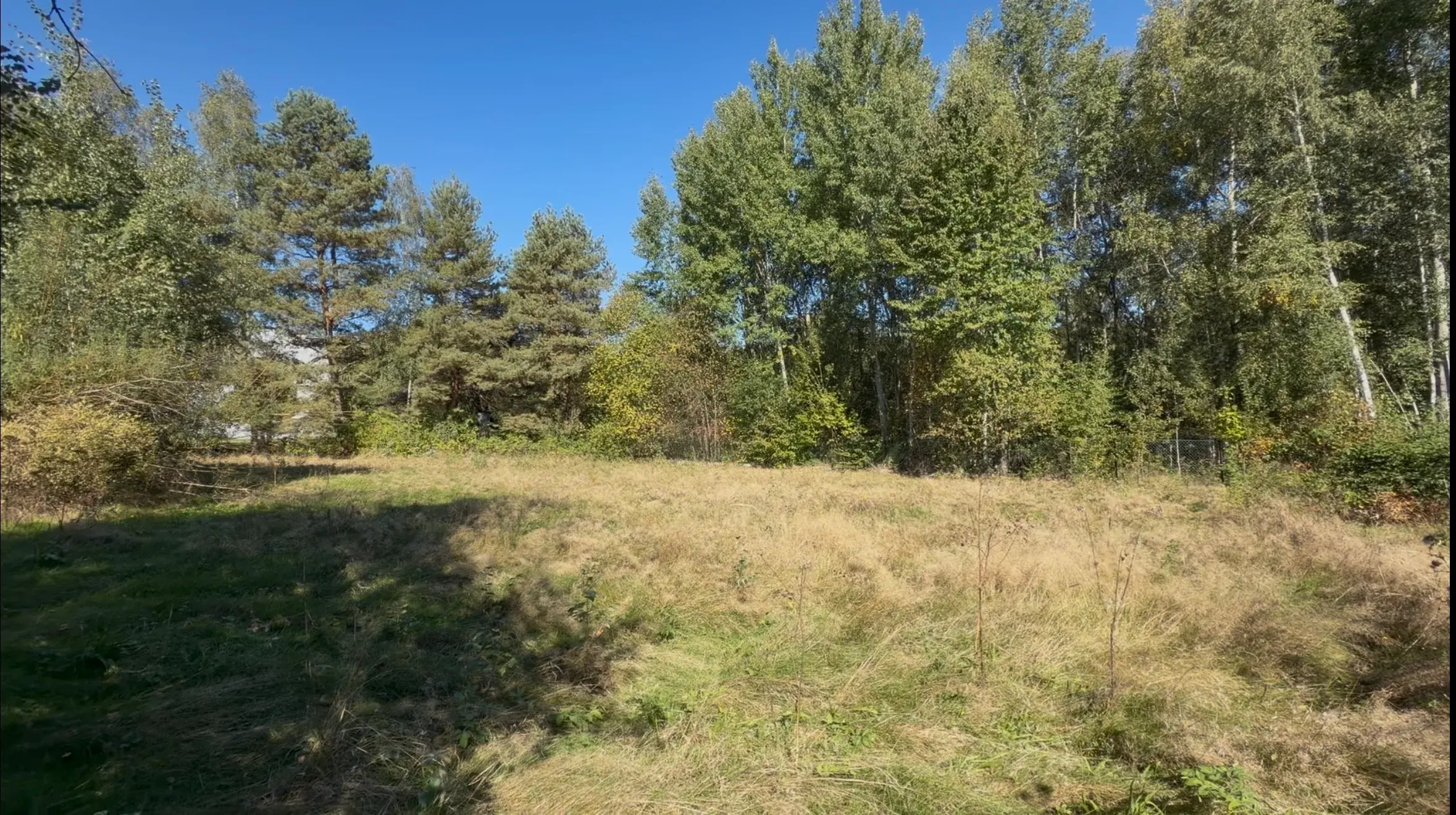 Działka, 2000 m², Raciborsko – zdjęcie 2 - Działka, 2000 m², Raciborsko (2 z 11)