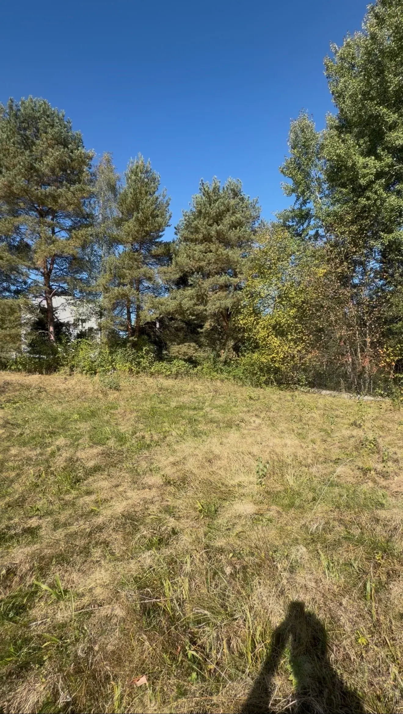 Działka, 2000 m², Raciborsko – zdjęcie 9 - Działka, 2000 m², Raciborsko (9 z 11)