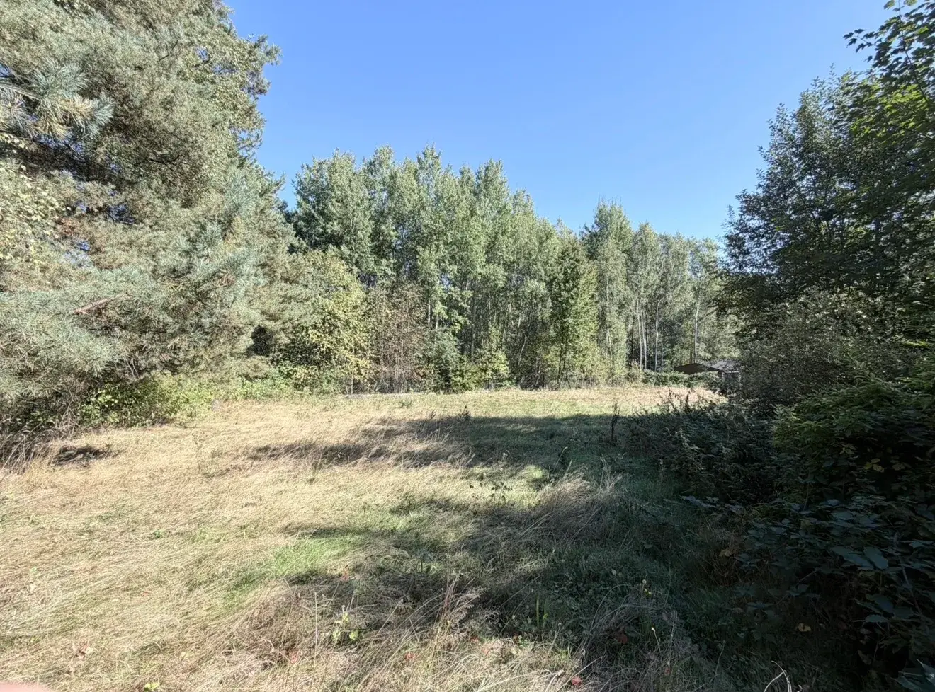 Działka, 2000 m², Raciborsko – zdjęcie 11 - Działka, 2000 m², Raciborsko (11 z 11)