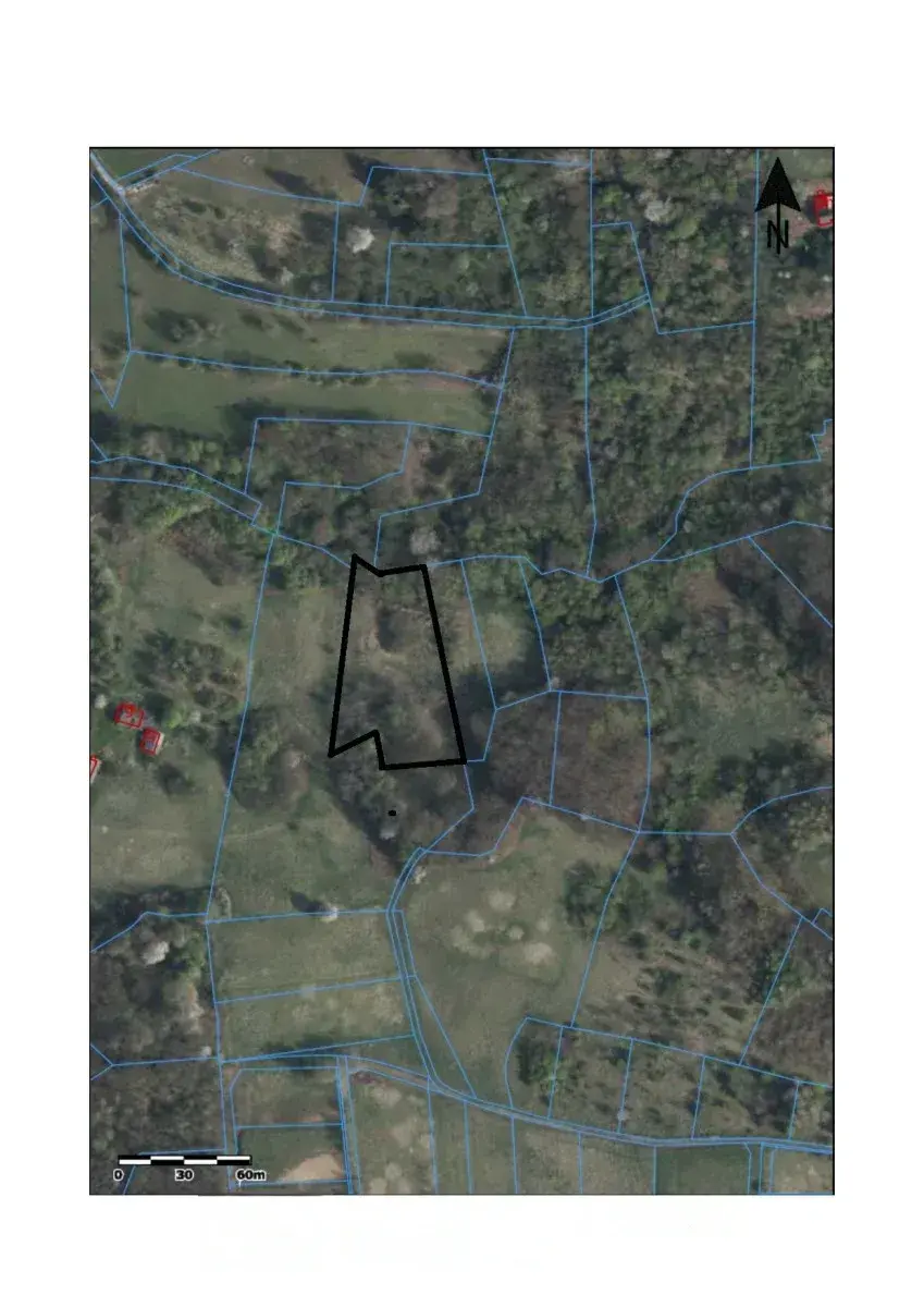Działka 3900 m² - Pawlikowice – zdjęcie 1 - Działka 3900 m² - Pawlikowice (zdjęcie 1 z 5)