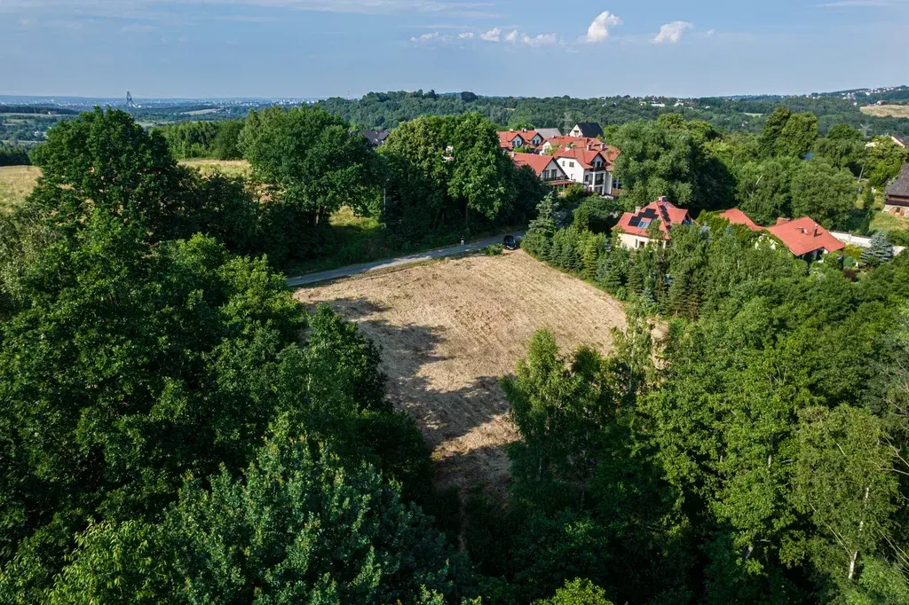 Działka budowlana z lasem - 35 arów - Konary! – zdjęcie 1 - Działka budowlana z lasem - 35 arów - Konary! (zdjęcie 1 z 5)
