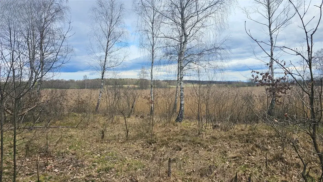 Wyjątkowa nieruchomość, Przeginia Narodowa – zdjęcie 1 - Wyjątkowa nieruchomość, Przeginia Narodowa (zdjęcie 1 z 5)