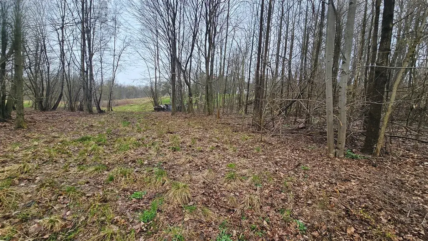 Atrakcyjna działka, Mogilany – zdjęcie 1 - Atrakcyjna działka, Mogilany (zdjęcie 1 z 5)