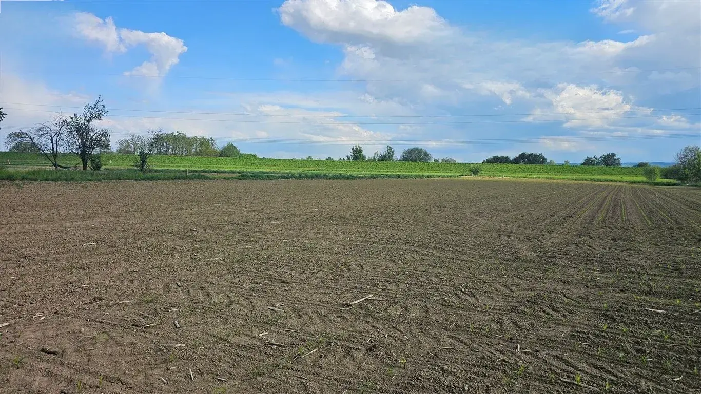 Piękna działka z WZ, Przylasek Rusiecki – zdjęcie 1 - Piękna działka z WZ, Przylasek Rusiecki (zdjęcie 1 z 4)