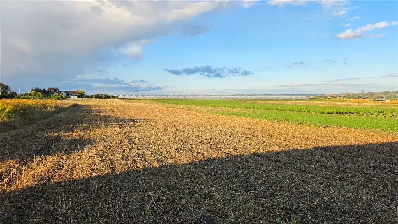 Świetna działka budowlano - rolna, Czechy – zdjęcie 1 - Świetna działka budowlano - rolna, Czechy (zdjęcie 1 z 4)