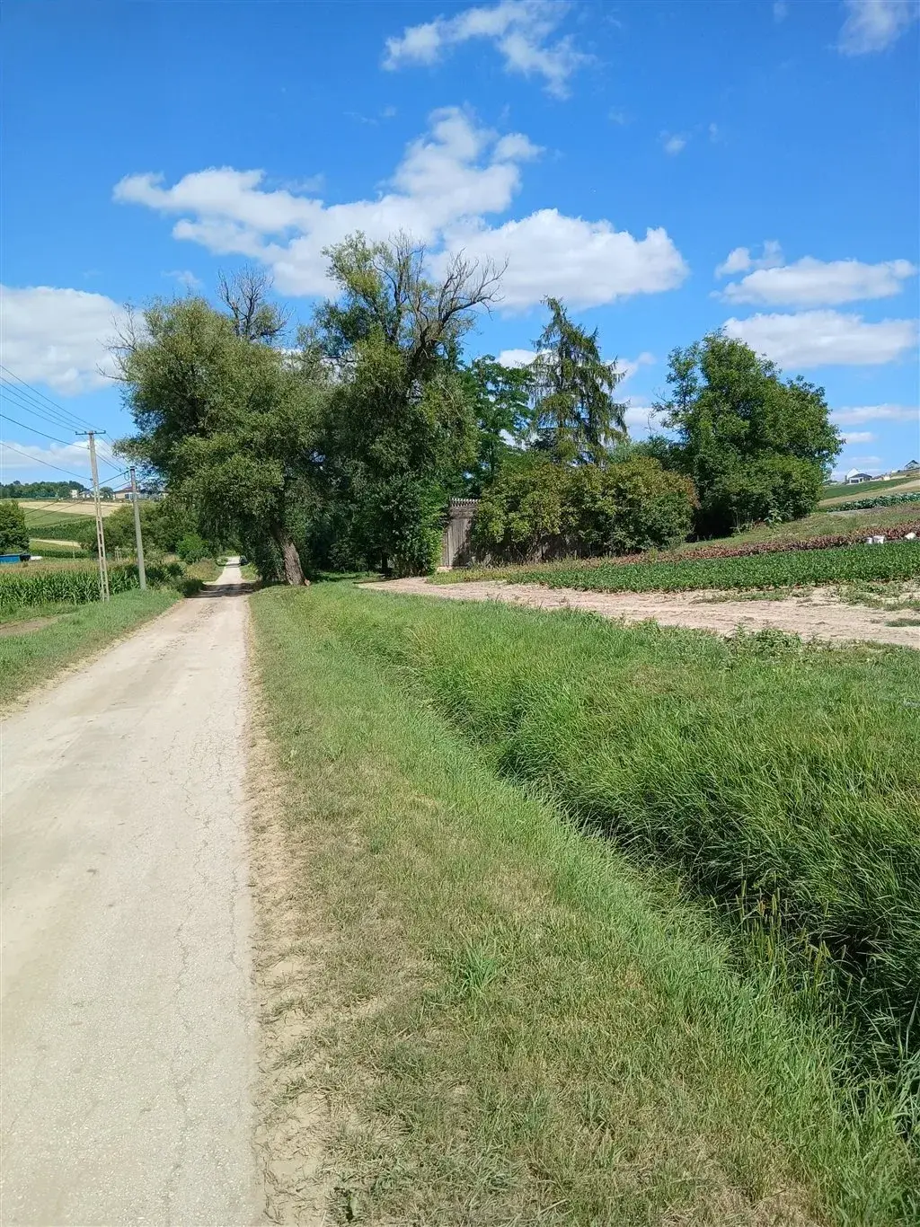 Wyjątkowa oferta, 1,7 ha w Polekarcicach – zdjęcie 1 - Wyjątkowa oferta, 1,7 ha w Polekarcicach (zdjęcie 1 z 5)